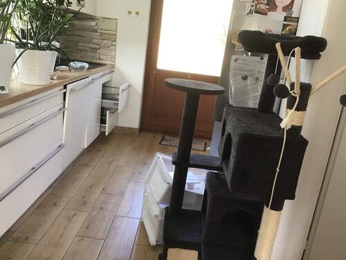 Foto - Einfamilienhaus in Lützelbach zur Miete