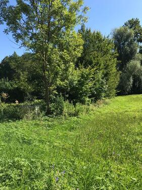 Foto - Grundstück 'Seewiesen' Weinstadt