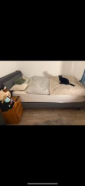 Foto - 1,5 Zimmer Wohnung in Sonneberg