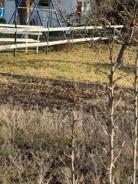 Foto - Grundst&uuml;ck in Blankenburg (Harz)