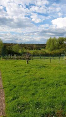 Foto - Einfamilienhaus in Buchholz zum Kaufen