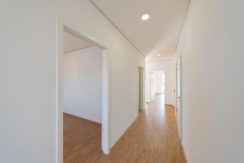 Foto - 5 Zimmer Etagenwohnung in Halle (Saale)