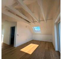 Erstbezug, helle 2-Zimmer DG-Wohnung in Weinheim - Sulzbach