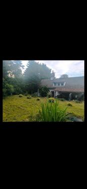 Foto - Einfamilienhaus zum Kaufen in Eisenhüttenstadt