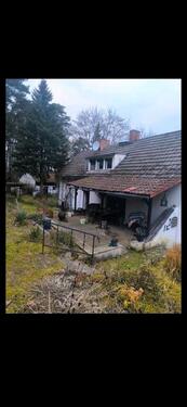 Foto - Einfamilienhaus in Eisenhüttenstadt zum Kaufen