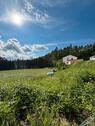 Foto - Ein Jahr+ in die Natur ziehen - 1.800,00&nbsp;EUR Kaltmiete, ca.&nbsp; 154,00&nbsp;m&sup2;