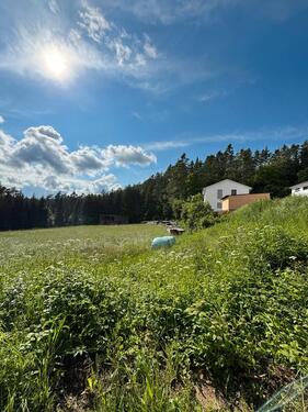 Foto - Ein Jahr+ in die Natur ziehen - 1.800,00&nbsp;EUR Kaltmiete, ca.&nbsp; 154,00&nbsp;m&sup2;