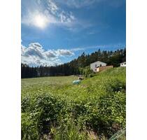Ein Jahr+ in die Natur ziehen - 1.800,00&nbsp;EUR Kaltmiete, ca.&nbsp; 154,00&nbsp;m&sup2; in Hohenburg (PLZ: 92277)