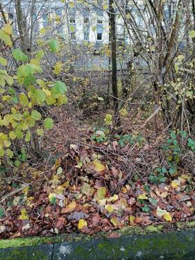 Foto - Gartengrundstück in Alsdorf - 750,00 EUR Kaltmiete, ca.  0,00 m²