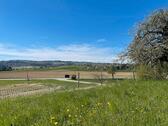 Foto - Freizeitgrundstück, Streuobstwiese