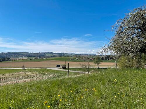Foto - Freizeitgrundstück, Streuobstwiese