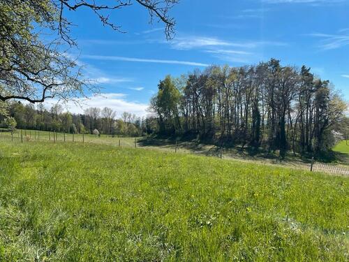 Foto - Grundst&uuml;ck zur Miete in Frickingen