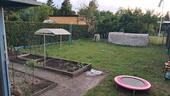Foto - 4 Zimmer Doppelhaushälfte in Forst (Lausitz)