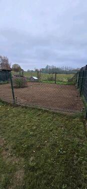 Foto - Einfamilienhaus in Rosenow zum Kaufen