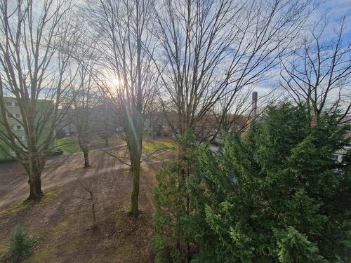 Foto - Helle, frisch renovierte 3-Zimmer-Wohnung