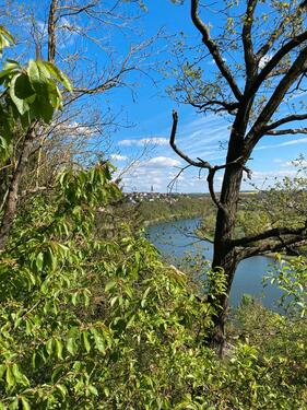 Foto - Grundst&uuml;ck in Korntal-Münchingen zur Miete