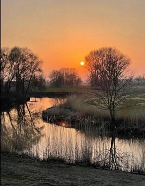 Foto - 2 Zimmer Etagenwohnung zur Miete in Borsfleth