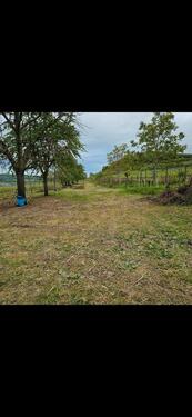 Foto - GARTENGRUNDSTÜCK - 100,00&nbsp;EUR Kaltmiete, ca.&nbsp; 0,00&nbsp;m&sup2;