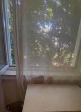 Foto - 2 Zimmer Erdgeschoßwohnung zur Miete in Montabaur