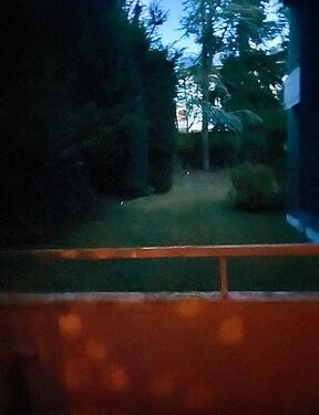 Foto - Erdgeschoßwohnung in Montabaur zur Miete