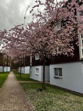Foto - Möblierte 1-Zimmer-Wohnung mit Stellplatz - 10 Min zur TU Ilmenau
