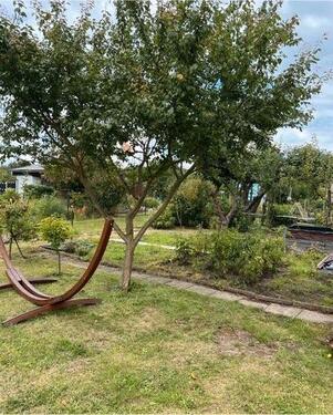 Foto - Grundst&uuml;ck in Rostock zur Miete