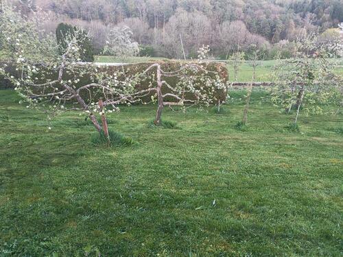 Foto - verpachte Garten - 280,00&nbsp;EUR Kaltmiete, ca.&nbsp; 0,00&nbsp;m&sup2;