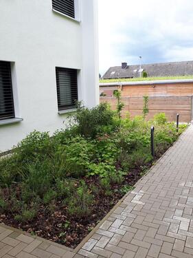 Foto - Erdgeschoßwohnung in Nörten-Hardenberg zur Miete