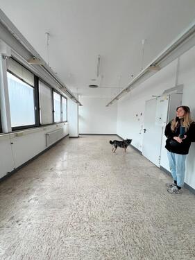 Foto - andere in Berlin