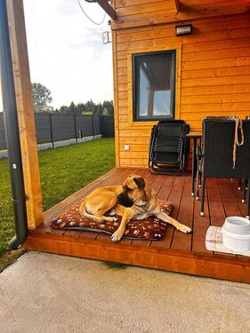 Foto - andere in Gütersloh