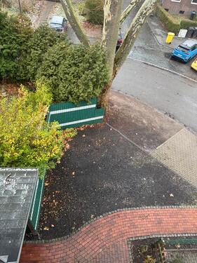 Foto - Parkplatz zu vermieten - 55,00&nbsp;EUR Miete,