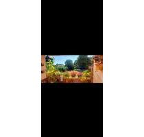 3 Zimmer Wohnung zum verkaufen in Oberursel - Oberursel (Taunus)