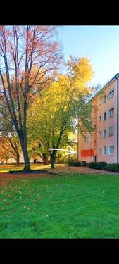 Foto - 3 Zimmer Hochparterre in Oberursel (Taunus)