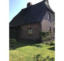 Wunderschönes Reetdachhaus am Naturpark Aukrug, von privat! - Hohenwestedt