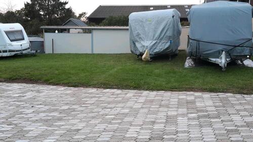 Foto - Stellplätze - 30,00&nbsp;EUR Miete,