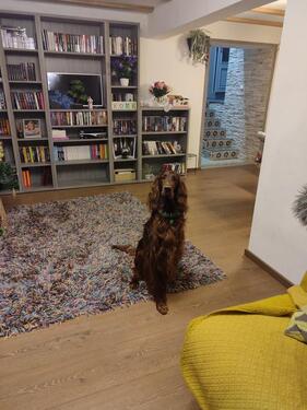 Foto - 11 Zimmer Mehrfamilienhaus, Wohnhaus in Vöhl