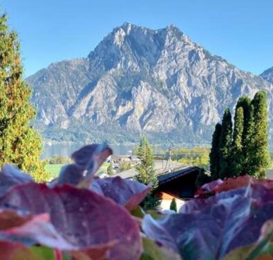 Foto - andere in Neuhaus am Inn