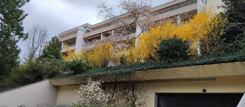 Foto - 2 Zimmer Etagenwohnung zum Kaufen in Badenweiler