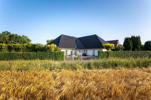 Foto - Einfamilienhaus in Molbergen
