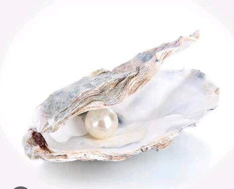 Foto - 1 Haus mit Vergangenheit - 700,00&nbsp;EUR Kaltmiete, ca.&nbsp; 70,00&nbsp;m&sup2;