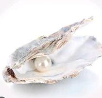 1 Haus mit Vergangenheit - 700,00&nbsp;EUR Kaltmiete, ca.&nbsp; 70,00&nbsp;m&sup2; in Ingolstadt (PLZ: 85051) Münchener Straße