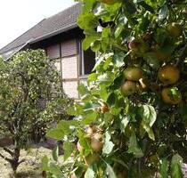 Eigener Brunnen, eigenes Obst und krisensichere Wärme!! - Uslar