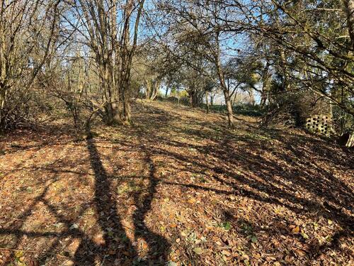 Foto - Grundstück zur Miete in Bad Soden am Taunus