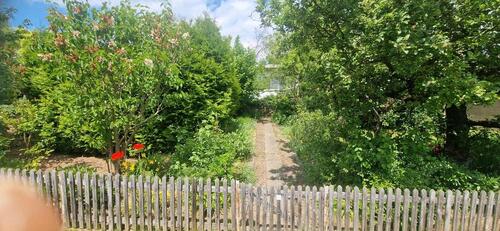 Foto - Grundst&uuml;ck zur Miete in Erfurt