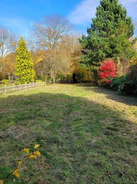 Foto - Einfamilienhaus in Nordenham zum Kaufen