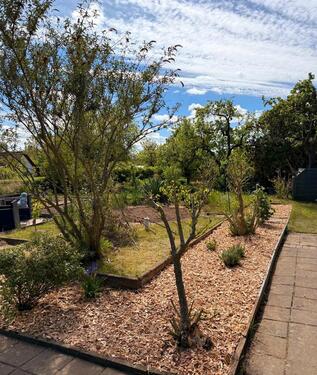 Foto - Grundst&uuml;ck zur Miete in Lambrechtshagen