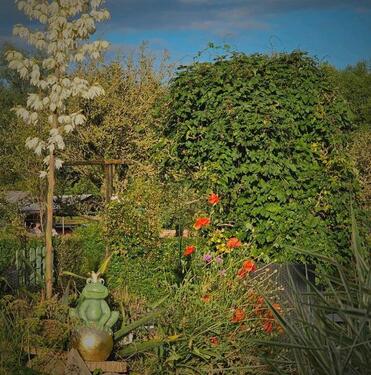 Foto - Grundst&uuml;ck in Lambrechtshagen zur Miete