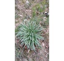 Appartement, 36m², 440m² Garten... - Kierspe