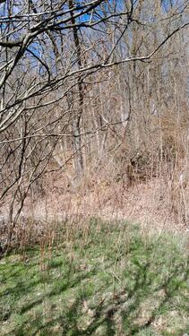 Foto - 1.5 Zimmer Erdgeschoßwohnung zur Miete in Kierspe