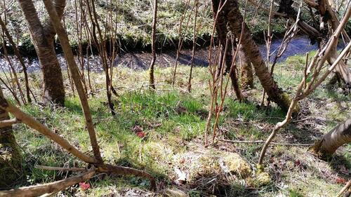 Foto - 1.5 Zimmer Erdgeschoßwohnung in Kierspe